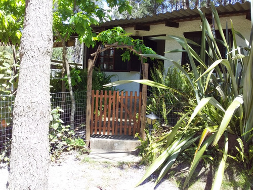 Cabañas Acrópolis Para 4 Personas La Paloma Rocha