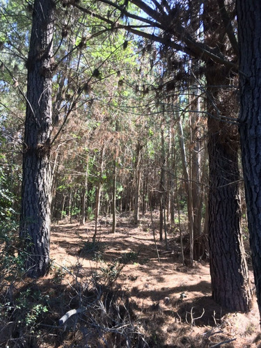 Terrenos En Santa Juana