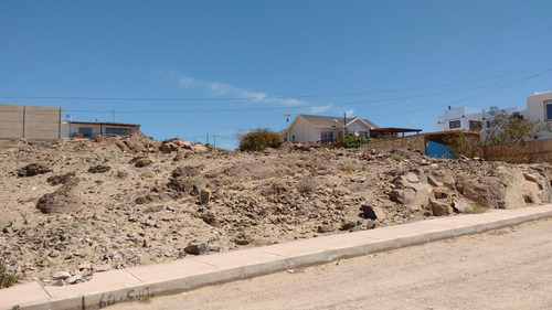 Sitio En Venta En Caldera