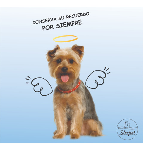 Servicio De Cremación De Mascotas. Sleepet