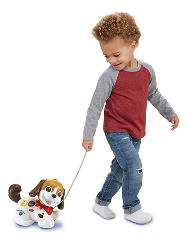 Perrito Infantil De Arrastre Paseos Y Aventuras Vtech