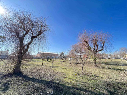 Imagen 3 de 13 de Terreno En Venta En Berisso.