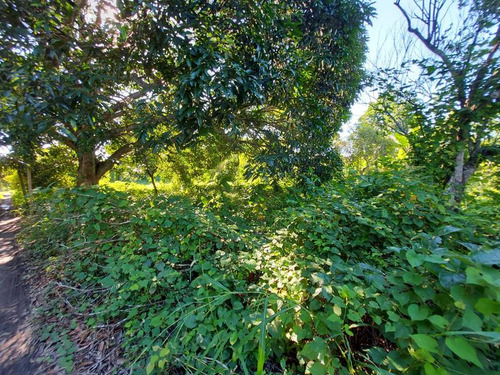 Venta Terreno 1538 M² Col. Juana Moza Tuxpan Veracruz