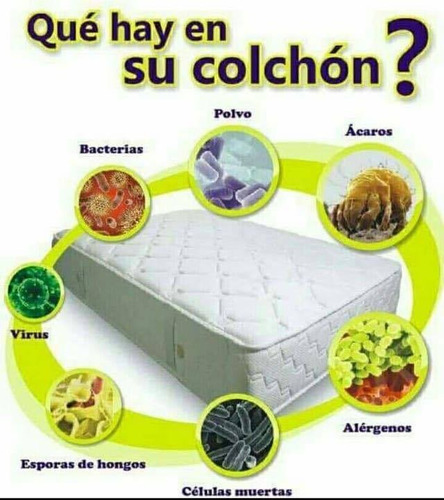 Imagen 2 de 10 de Limpieza De Tapizados Sillones, Sillas, Colchones, Autos