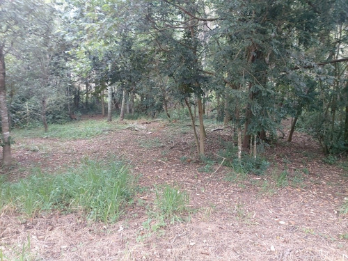 Imagem 3 de 9 de Condominio Terreno Ibiuna A 300 Mts Da Represa, Escritura Ok