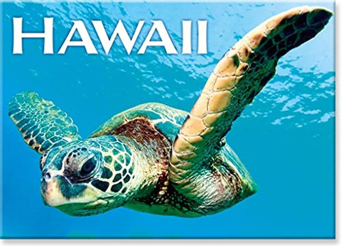 Imán Para Nevera Hawaii - Hello Turtle Honu Ocean
