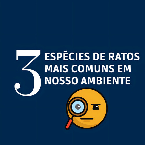 Porta Isca Armadilha Ratoeira Pega Mata Ratos Ratasanas