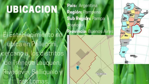 Imagen 11 de 14 de Campo Agrícola Ganadero En Venta En #pellegrini
