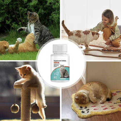 Suplemento Completo Para Gatos, Salud Interna Y Externa