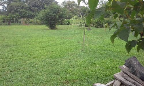 Se Vende Granja En El Estado Carabobo Ve02-1321carab-mtru