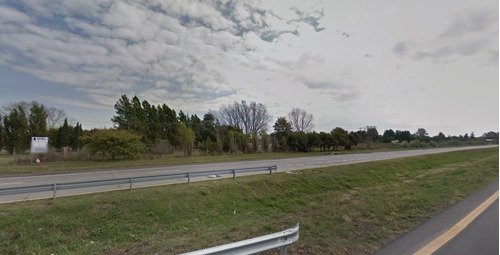 Imagen 1 de 8 de Alquiler 3 Hectareas Sobre Ruta 6