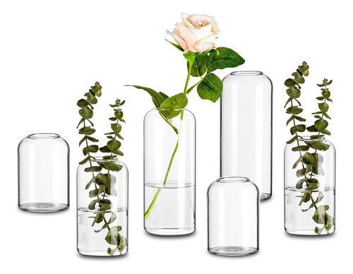 Glasseam Clear Glass Bud Vase, Set De 6 Cilindros Modernos P