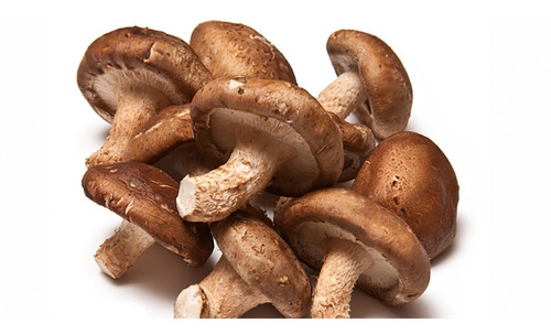 Hongos Shiitake 1 Lb Frescos