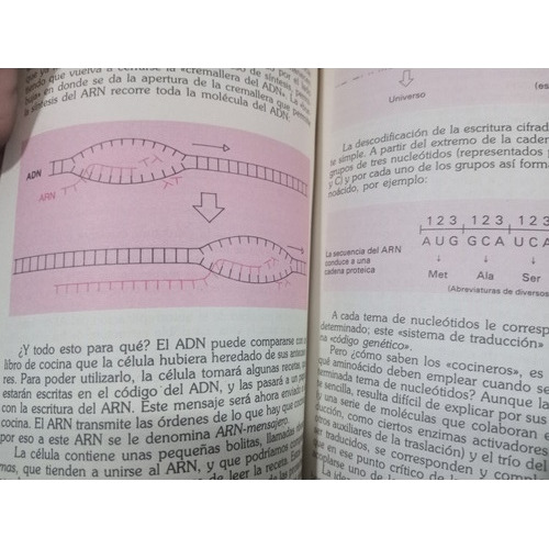 La Vida, Un Estadio Intermedio: Carsten Bresch (Usado)