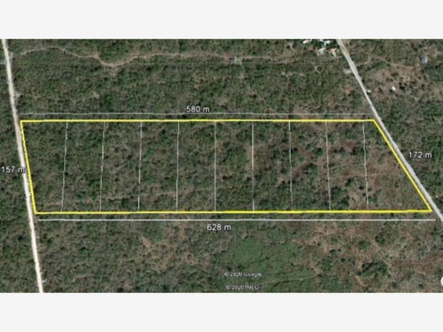 Imagen 4 de 8 de Terreno En Venta San Antonio Tzacala