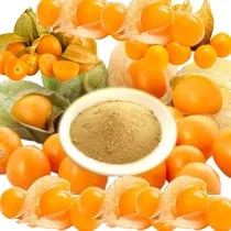 Comprar Aguaymanto En Polvo 1 Kg