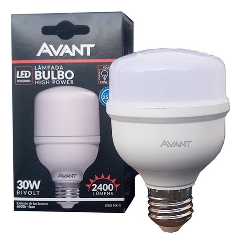 Kit 10 Lâmpada  Bulbo Led 30w Bivolt E27 6500k Branca Fria