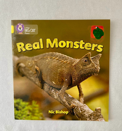 Real Monsters Big Cat Yellow Phonics Usado (Usado)