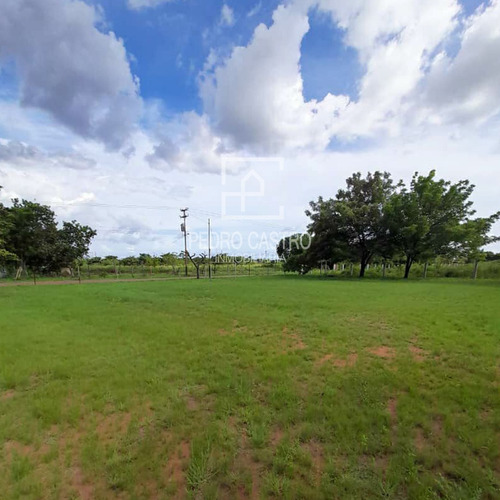 Imagen 18 de 18 de Pedro Castro Inmobiliaria Vende Finca Ubicada En San Jacinto, Ciudad Guayana #crecimientoagricola #agricultura #casacampo #descanso #familia