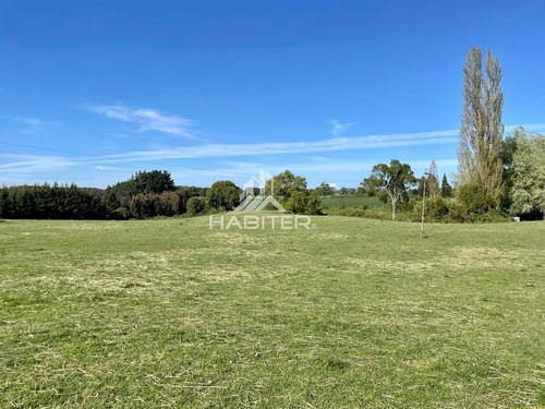 Cod35266 Vende Agrícola Campo De 36 Ha. Indigena En Lautaro