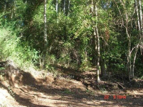 Imagen 2 de 21 de Camino Nonguen S / N , Sector Reserva De Nonguen Concepc...