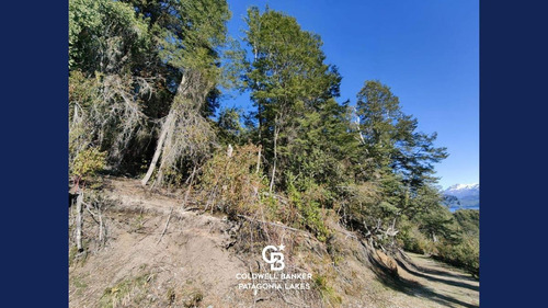 Imagen 12 de 23 de Venta Lote/terreno Fracción De 6500,24 M2 Vista Al Lago Faldeo Del Bayo Villa La Angostura