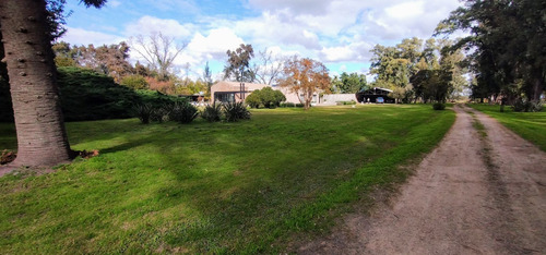 Campo De 36 Hectareas En Canning