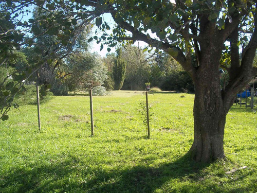 Imagen 5 de 13 de Lote En San Miguel Del Monte