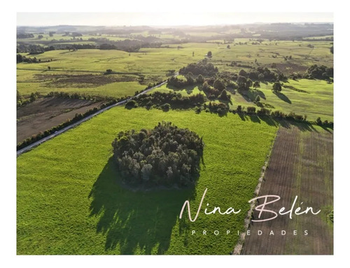 Nb9998230 - Parcelas El Avellano 5.000 Mts2 Los Lagos