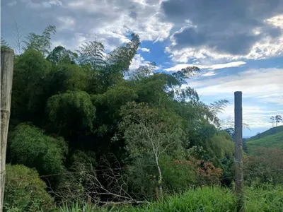 Finca en venta