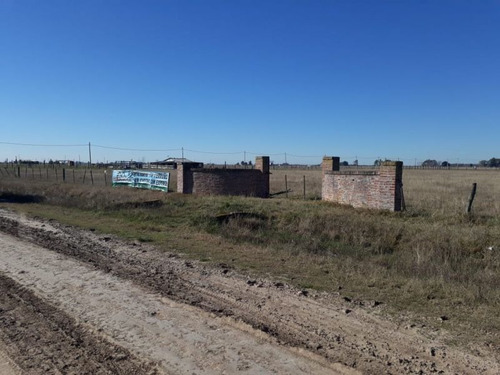 Imagen 8 de 21 de Terreno En Venta En Domselaar