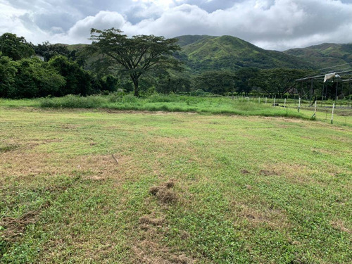 Imagen 10 de 14 de Finca En Venta En Aguirre