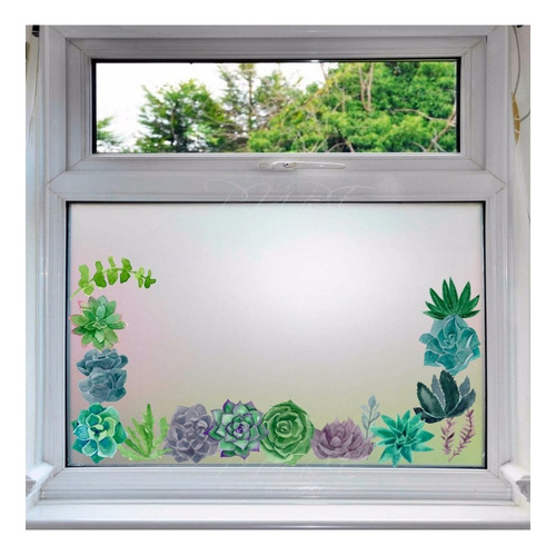 Vinilo Cactus Suculentas Acuarela Maceta Esmerilado 60x100