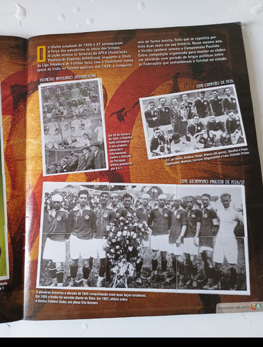 Álbum De Figurinhas Centenário Do Palmeiras (completo) (Usado)