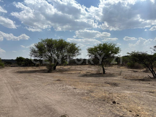 Lote De 5,000 M2 En Fraccionamiento A 16 Km Del Centro De San Miguel De Allende