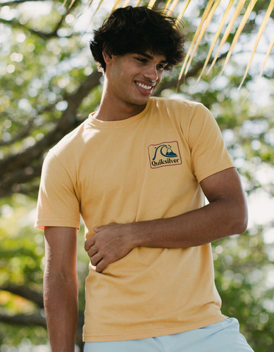 Playera Quiksilver Square Viz