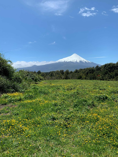 Terreno - Parcela En Ensenada, Puerto Varas