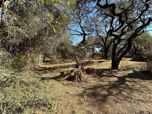 Terreno En Venta En Villa Rivera Indarte