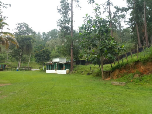 Solo Clientes: Finca En Venta Montalban (mh)