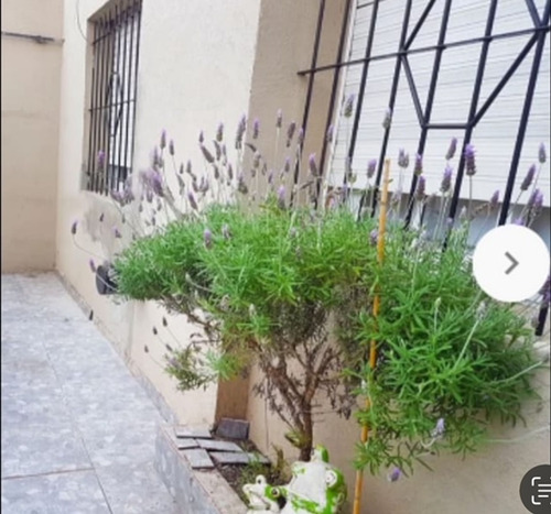 Venta Casa 4 Ambientes Ciudad Madero Retasada!!!