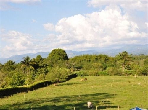 Imagen 4 de 29 de Venta Finca En Santagueda. Cod:305599