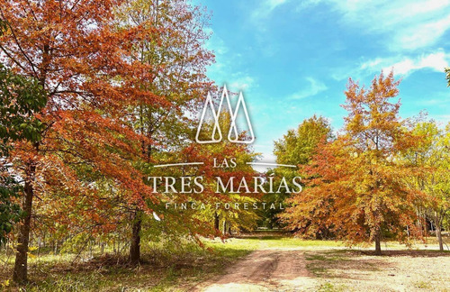 Terreno En Moreno