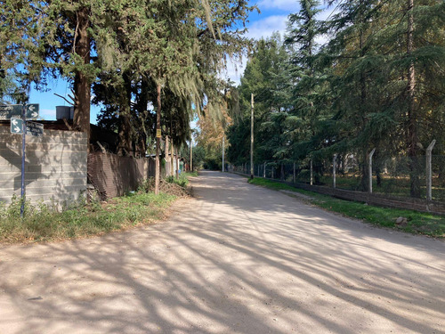 Terreno En Villa Rivera Indarte Para 6 Unidades