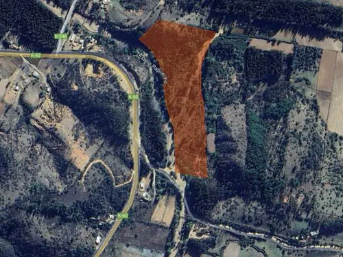 Predio Agricola De 4,67 Ha, La Palma, Curepto (80807)