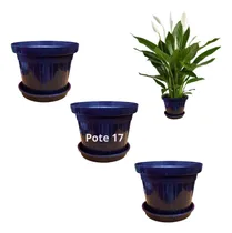 Comprar Kit 3 Vasos Pote 17 + 3 Prato 14cm Cacto Rosa Deserto Planta
