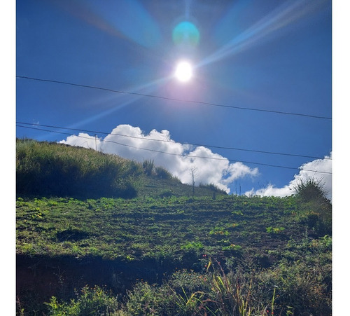 Imagen 5 de 21 de Best House Vende Terreno En El Jarillo Cerca De Quebrada Honda