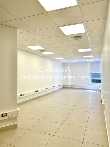 Imagen 5 de 17 de Arriendo Remodelada Y Luminosa Oficina, Metro Los Leones
