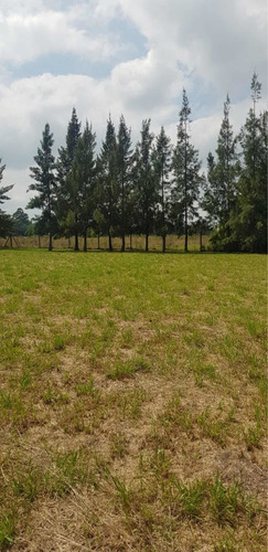 Imagen 3 de 6 de 2 Lotes En Excelente Ubicación Ideal Para Quinta En Brandsen