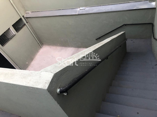 Imagem 16 de 24 de Casa Para Aluguel Em Jardim Novo Cambuí - Ca007439