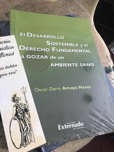 El Desarrollo Sostenible Y El Derecho Fundamental A Gozar De